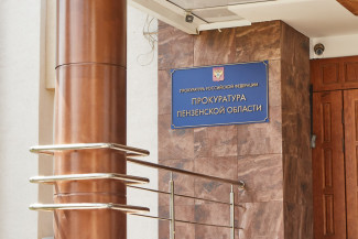 В Пензенской области 19-летнего парня обвиняют в госизмене и финансировании терроризма