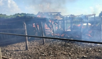 Во время жуткого пожара в Никольском районе сгорели несколько зданий