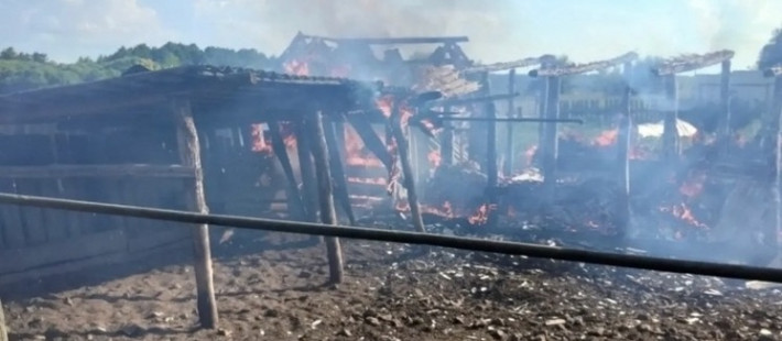 Во время жуткого пожара в Никольском районе сгорели несколько зданий