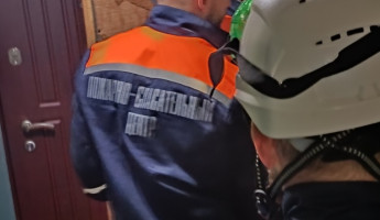 На улице Суворова в Пензе ребенок вышел в проем окна: на место срочно выехали спасатели На улице Суворова в Пензе ребенок вышел в проем окна: на место срочно выехали спасатели