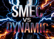 Не только в России: как SMEC преследовали бывшего партнера в суде и обрушили рынок в США