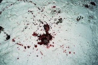 В Пензе злоумышленники зверски избили мужчину на остановке, а после забрали все его деньги