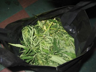 На «Пенза-3» у мужчины  изъяли 350 грамм марихуаны