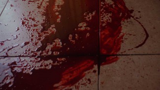 Житель Пензенской области зверски убил подругу за отказ в сексе 