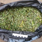У жителя Белинского района нашли 216 грамм марихуаны