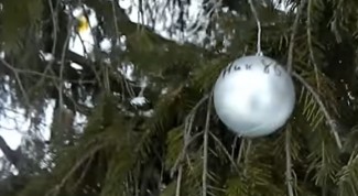 Кузнечанам пришлось украшать главную новогоднюю елку самим 