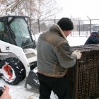 Бурые медведи в Пензенском зоопарке переехали в новые «апартаменты»
