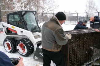 Бурые медведи в Пензенском зоопарке переехали в новые «апартаменты»
