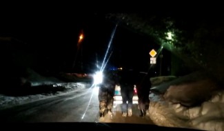Житель Пензы снял на видео полицейских, толкавших служебное авто по Арбеково