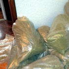 В Пензе дочь с отцом пытались продать три с половиной кг марихуаны