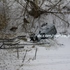 Соцсети: «В Пензе в Терновке «Нива» снесла ограждения и упала с моста в реку»