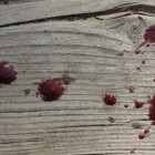 Жительница Камешкирского района зверски убила собственного мужа