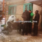 В Пензе жители Карпинской выпивают на лавочке с пандой