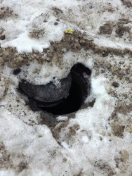 Соцсети: «В Пензе открытый люк пролежал под снегом всю зиму»
