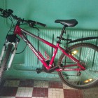 В Каменке 20-летний уголовник украл детские ролики и трехколесный велосипед