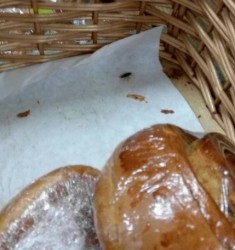 В пензенском супермаркете хлебом лакомятся тараканы