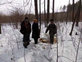 В Пензенской области мужчина незаконно нарубил дров почти на 100 тыс. руб