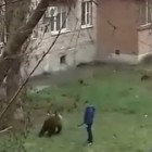 Медведица из Пензы заинтересовала ростовских полицейских 