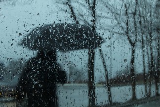 На территории Пензенской области продолжатся дожди