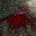 В Пензе кикбоксер забил насмерть пешехода за незнание ПДД