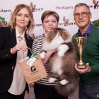 Вип-неделя: Слепов дарит iPhone7 гостям BSW, Туктаров дегустирует напитки из Чехии, Рудакова празднует День рождения на выставке кошек