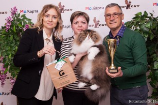 Вип-неделя: Слепов дарит iPhone7 гостям BSW, Туктаров дегустирует напитки из Чехии, Рудакова празднует День рождения на выставке кошек