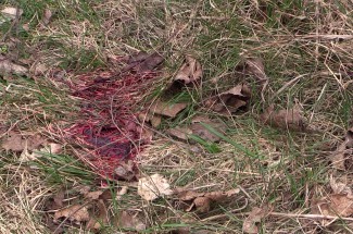 Житель Пензенской области раскроил голову односельчанину ножкой от стола 