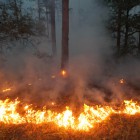 В МЧС сообщили о серьезном пожаре в лесу под Пензой 