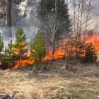 В Пензенской области стартует пожароопасный период 