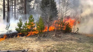 В Пензенской области стартует пожароопасный период 
