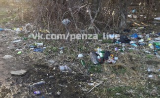 Жители Пензы жалуются на «мусорную поляну» на Байдукова 