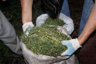 У уголовника из Пензенской области обнаружили около килограмма наркотиков