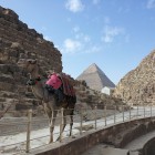 Не исключено, что пензенцы не смогут больше летать на отдых в Египет по системе «все включено»