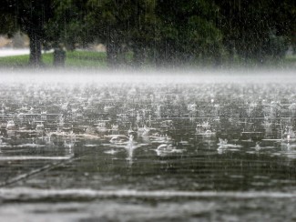 Жителей Пензы вновь ожидают проливной дождь и гроза 