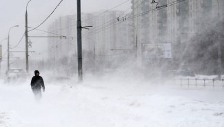 В Бессоновской, Кузнецком и еще 5 районах области отключили свет из-за непогоды