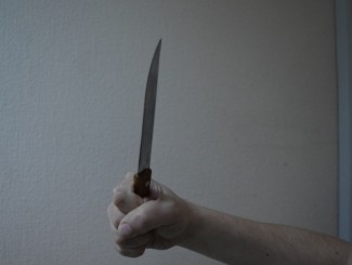 В Пензе на Западной поляне девушка убила мужчину ударом ножа