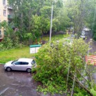 В столице России бушует неведомой силы ураган. Есть погибшие 