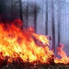 В выходные в Пензенской области ожидается вспышка лесных пожаров