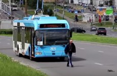 Пензенский водитель остановил троллейбус и спас котенка