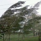 Синоптики предупреждают пензенцев о «бешеном» ветре