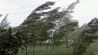 Синоптики предупреждают пензенцев о «бешеном» ветре