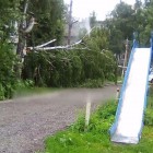 Последствия урагана в Пензе: вырванные с корнем деревья, ссадины и  ушибы 