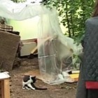 В Пензенской области владелица «Кошкиного дома» прокляла телевизионщиков 