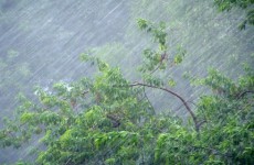 В Пензенской области объявили штормовое предупреждение