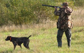 Житель Кузнецка подстрелил мужчину во время охоты в Ульяновской области