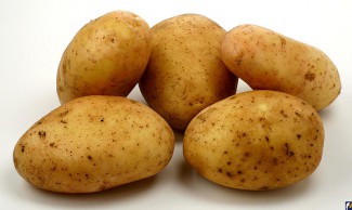 «Верните картошку». Жителя Засечного воры оставили без урожая 