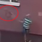 В Интернете появилось видео, на котором пензенские дети подбрасывают в воздух мертвую собаку