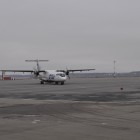 Самолет «Пенза-Сочи» совершил экстренную посадку в Саратове после столкновения со стаей птиц