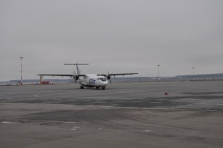 Самолет «Пенза-Сочи» совершил экстренную посадку в Саратове после столкновения со стаей птиц