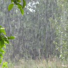 Пензенцам пообещали дожди и грозы